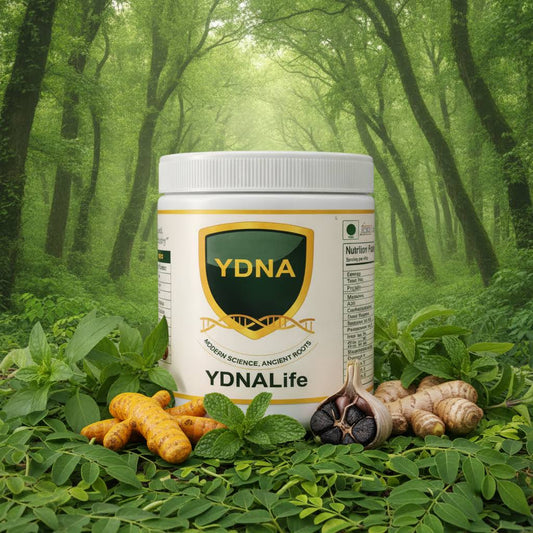 YDNALife The Starter